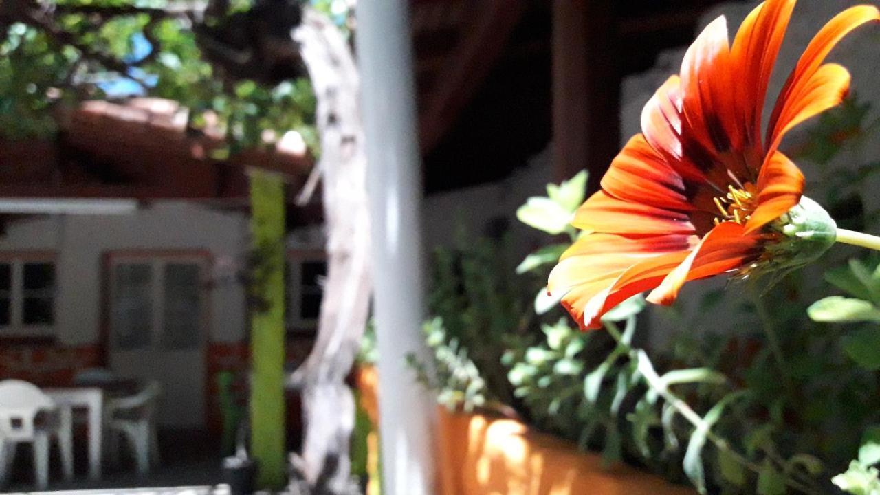 Hospedaje Don Alberto Ξενοδοχείο Potrerillos Εξωτερικό φωτογραφία
